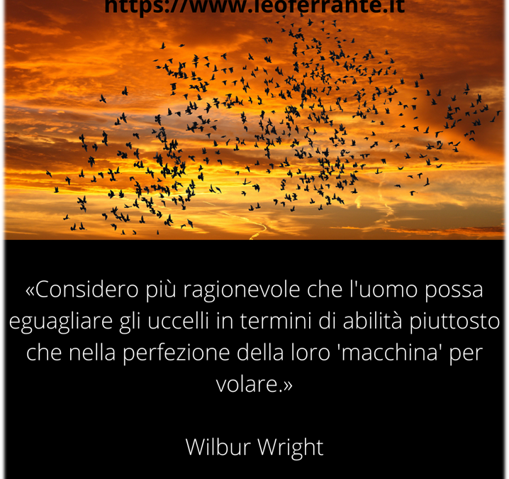 Quali lezioni da uno stormo di volatili per leader e organizzazioni ?