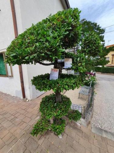 Casoli mia-prima-casa-24-06-2021 04